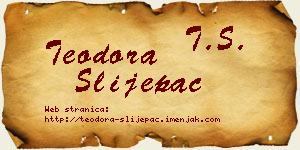 Teodora Slijepac vizit kartica